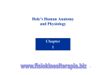 Hole`s Human Anatomy and Physiology Chapter 1