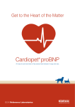 Cardiopet® proBNP