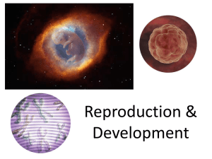 HumanReproduction
