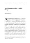 The Economic Effects of Climate Change