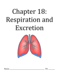 Chapter 15: Bones, Muscle, Skin Chapter 18: Respiration and