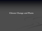 Climate Change and Plants (Ozlem Yilmaz)