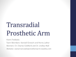 File - A Transradial Prosthetic Arm