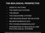 Brain anatomy - Psycholosphere
