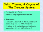 Cells of the Immune System-I