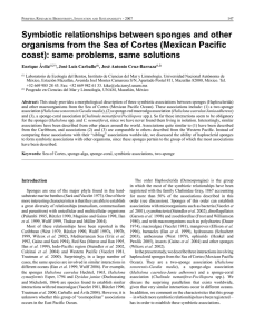 Symbiotic relationships between sponges and other organisms from