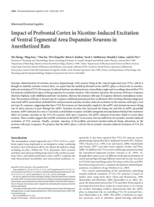 Impact of prefrontal cortex in nicotine