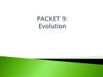 Packet 9 Evolution(1).