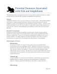 Potential Zoonoses Associated with Fish and Amphibians