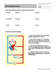 Circulatory St notes worksheet