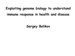 Belikov