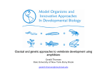 Classical and genetic approaches to vertebrate development using