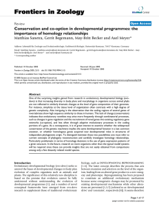 Conservation and co-option in developmental programmes: the