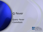 Q Fever Presentation