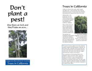 Don`t Plant a Pest : Trees in California