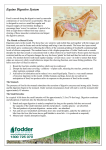 Digestive Tract Equine PDF