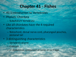 Ch 41 Fishes