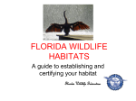 Habitat Guide - Florida Wildlife Federation