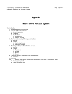 Appendix Basics of the Nervous System
