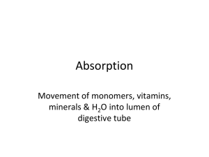 Ingestion, Digestion, Absorption