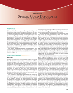 Chapter 106 - Spinal Cord Disorders