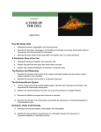 How We Study Cells 1. Distinguish between magnification and