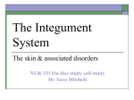 The Integument System