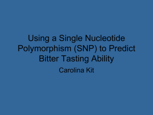 Using a Single Nucleotide Polymorphism (SNP)