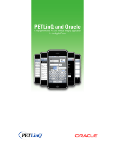 PETLinQ and Oracle: A High-Performance RIS and
