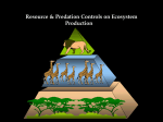 The “bottom up” view of Ecosystem production The