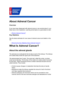 About Adrenal Cancer What Is Adrenal Cancer?