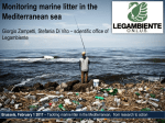 Monitoring marine litter in the Mediterranean sea
