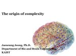 The origin of Complexity - Brain Dynamics Laboratory