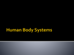 Human Body Systems - Valhalla High School