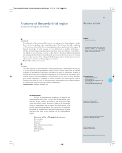 Anatomy of the periorbital region