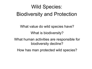 Biodiversity