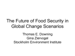 The Future of Food Security in Global Change Scenarios