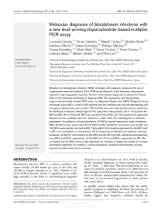 Molecular diagnosis of bloodstream infections with a new dual