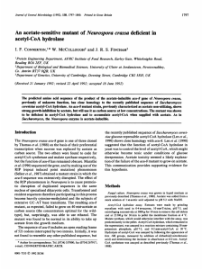 An acetate-sensitive mutant of Neurospora crassa deficient in acetyl