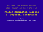 Photon Dominated Regions