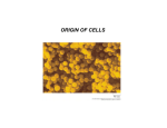 ORIGIN OF CELLS
