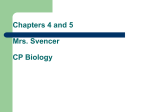 Chapters 4 and 5 Mrs. Svencer CP Biology 4.1 Life Requires About