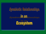 Symbiosis Powerpoint day 2 File