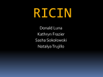 ricin - UNM Biology