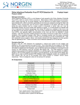 Feline Infectious Peritonitis Virus RT-PCR Detection