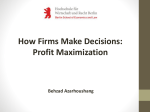 Firms decision making