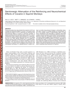 Serotonergic Attenuation of the Reinforcing and Neurochemical