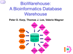 BioWarehouse: The Bio-SPICE Bioinformatics Database Warehouse