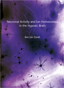 Neuronal Activity and Ion Homeostasis in the Hypoxic Brain