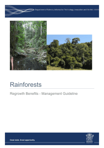 Rainforest Regrowth Benefits